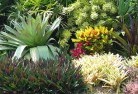 Tappingplanting-garden-and-landscape-design-24.jpg; ?>